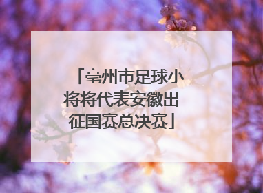 亳州市足球小将将代表安徽出征国赛总决赛