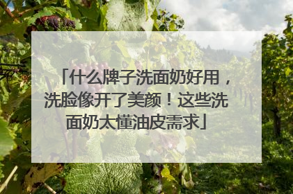 什么牌子洗面奶好用，洗脸像开了美颜！这些洗面奶太懂油皮需求