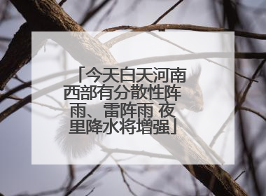 今天白天河南西部有分散性阵雨、雷阵雨 夜里降水将增强