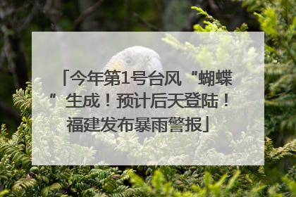今年第1号台风“蝴蝶”生成！预计后天登陆！福建发布暴雨警报