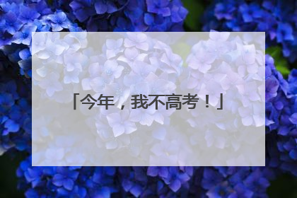 今年，我不高考！