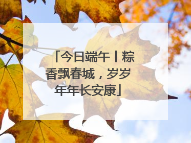今日端午丨粽香飘春城，岁岁年年长安康