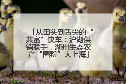 从田头到舌尖的“共富”快车：沪湖供销联手，湖州生态农产“圈粉”大上海