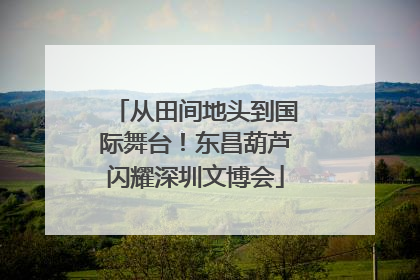 从田间地头到国际舞台！东昌葫芦闪耀深圳文博会
