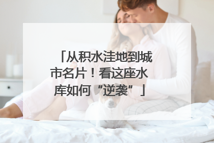 从积水洼地到城市名片！看这座水库如何“逆袭”
