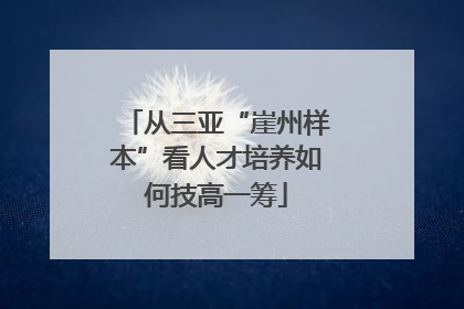 从三亚“崖州样本”看人才培养如何技高一筹