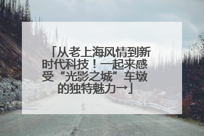 从老上海风情到新时代科技！一起来感受“光影之城”车墩的独特魅力→