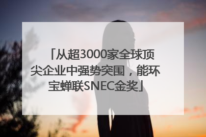 从超3000家全球顶尖企业中强势突围，能环宝蝉联SNEC金奖