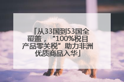 从33国到53国全覆盖，“100%税目产品零关税”助力非洲优质商品入华