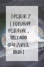 代表来了｜民有所呼代表有应，增江400多年古码头焕新