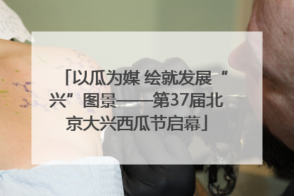 以瓜为媒 绘就发展“兴”图景——第37届北京大兴西瓜节启幕