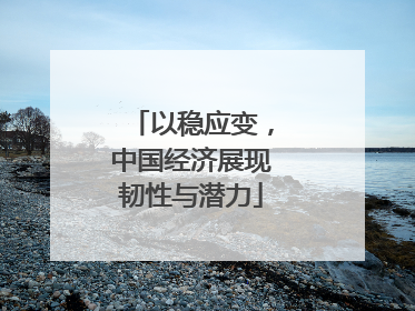 以稳应变，中国经济展现韧性与潜力