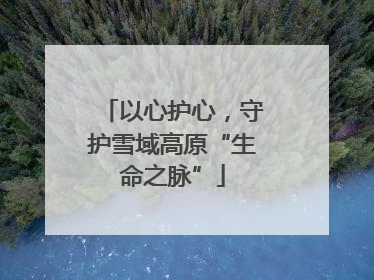 以心护心，守护雪域高原“生命之脉”