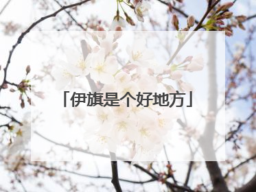 伊旗是个好地方