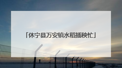 休宁县万安镇水稻插秧忙