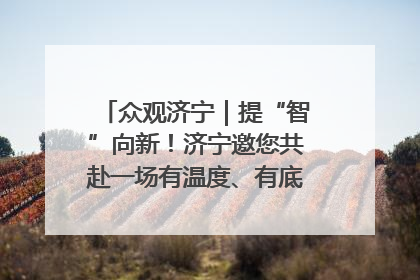 众观济宁｜提“智”向新！济宁邀您共赴一场有温度、有底气的“智造”之约