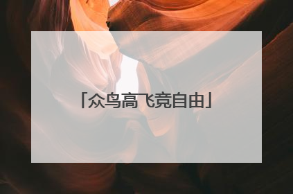 众鸟高飞竞自由
