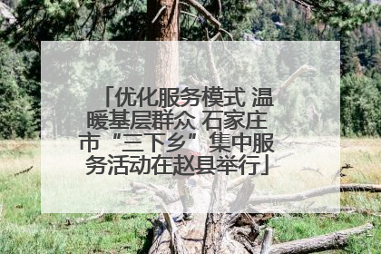 优化服务模式 温暖基层群众 石家庄市“三下乡”集中服务活动在赵县举行