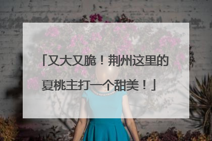 又大又脆！荆州这里的夏桃主打一个甜美！