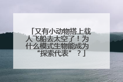又有小动物搭上载人飞船去太空了！为什么模式生物能成为“探索代表”？