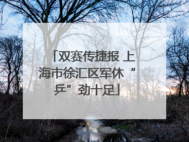 双赛传捷报 上海市徐汇区军休“乒”劲十足