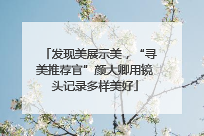 发现美展示美，“寻美推荐官”颜大卿用镜头记录多样美好