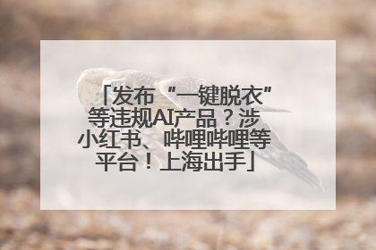 发布“一键脱衣”等违规AI产品？涉小红书、哔哩哔哩等平台！上海出手