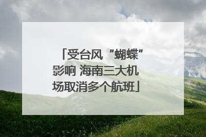 受台风“蝴蝶”影响 海南三大机场取消多个航班