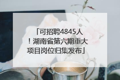 可招聘4845人！湖南省第六期重大项目岗位归集发布