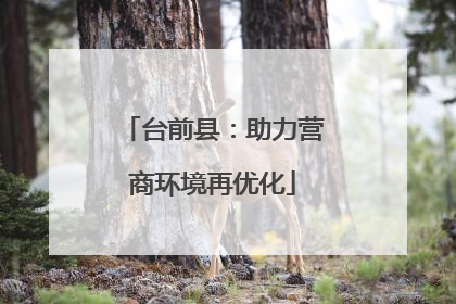 台前县：助力营商环境再优化