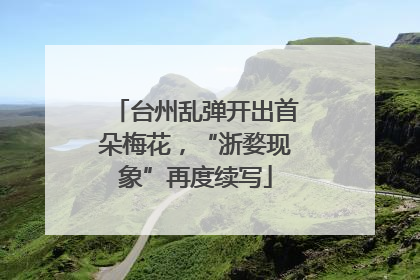 台州乱弹开出首朵梅花，“浙婺现象”再度续写