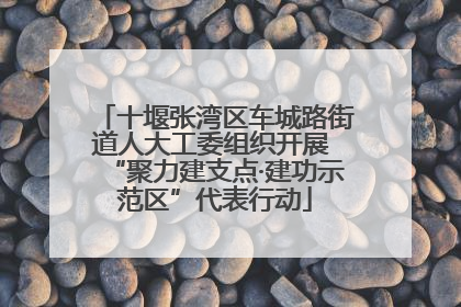 十堰张湾区车城路街道人大工委组织开展 “聚力建支点·建功示范区”代表行动