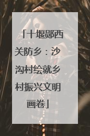 十堰郧西关防乡：沙沟村绘就乡村振兴文明画卷