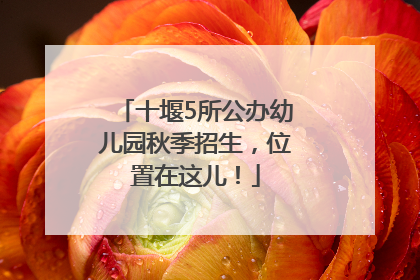十堰5所公办幼儿园秋季招生，位置在这儿！