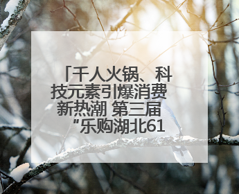 千人火锅、科技元素引爆消费新热潮 第三届“乐购湖北616三好节”在夷陵区盛大启幕