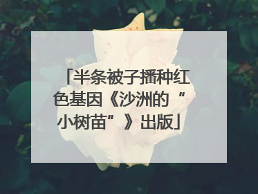 半条被子播种红色基因《沙洲的“小树苗”》出版