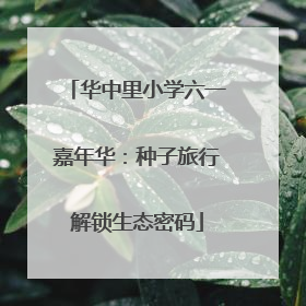华中里小学六一嘉年华：种子旅行解锁生态密码
