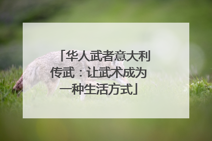 华人武者意大利传武：让武术成为一种生活方式