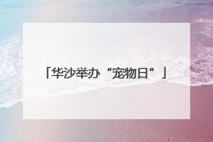 华沙举办“宠物日”