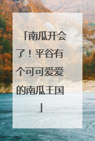 南瓜开会了！平谷有个可可爱爱的南瓜王国