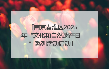 南京秦淮区2025年“文化和自然遗产日”系列活动启动