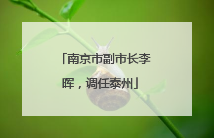 南京市副市长李晖，调任泰州
