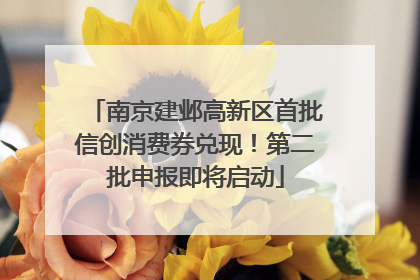 南京建邺高新区首批信创消费券兑现！第二批申报即将启动