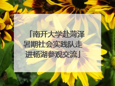 南开大学赴菏泽暑期社会实践队走进杨湖参观交流