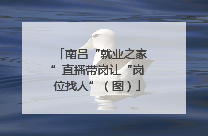 南昌“就业之家”直播带岗让“岗位找人”（图）