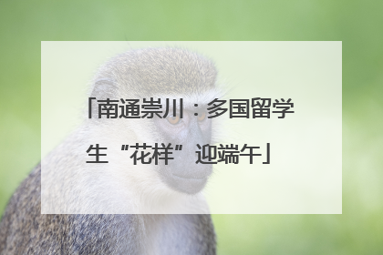 南通崇川：多国留学生“花样”迎端午