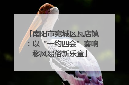 南阳市宛城区瓦店镇：以“一约四会”奏响移风易俗新乐章