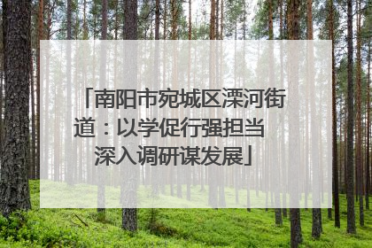 南阳市宛城区溧河街道：以学促行强担当 深入调研谋发展