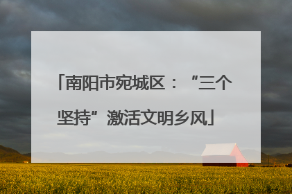 南阳市宛城区：“三个坚持”激活文明乡风