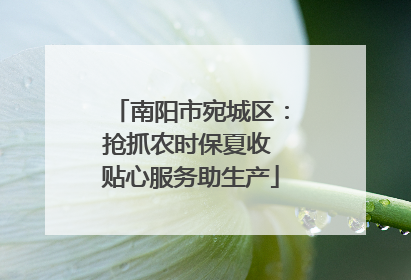 南阳市宛城区：抢抓农时保夏收 贴心服务助生产